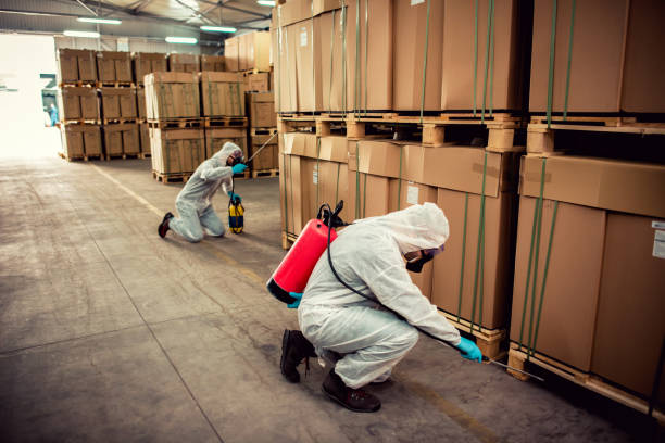 Best Best Pest Control Companies  in Tioga, TX