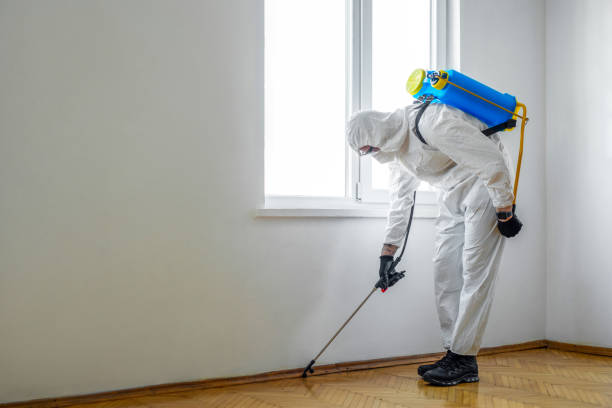 Best Commercial Pest Control Services  in Tioga, TX